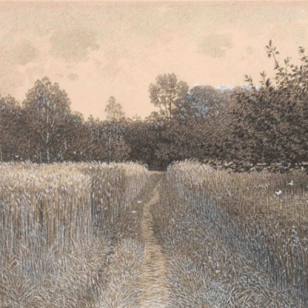 Antonín Chittussi, Through Field and Forest